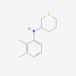 molecular formula C13H19NS B7859632 N-(2,3-dimethylphenyl)thian-3-amine 