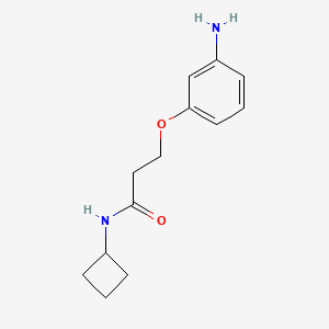 molecular formula C13H18N2O2 B7860911 3-(3-aminophenoxy)-N-cyclobutylpropanamide 