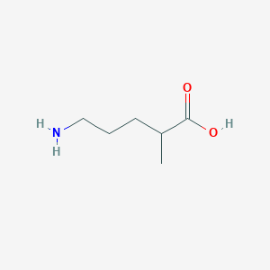 molecular formula C6H13NO2 B078625 5-Amino-2-methylpentanoic acid CAS No. 10483-16-6