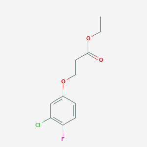 Ethyl 3-(3-chloro-4-fluoro-phenoxy)propanoate