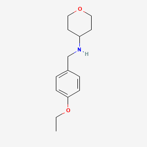 molecular formula C14H21NO2 B7863994 N-[(4-ethoxyphenyl)methyl]oxan-4-amine 