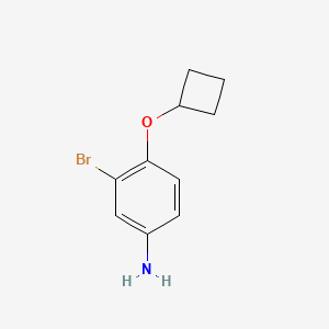 molecular formula C10H12BrNO B7869660 3-Bromo-4-cyclobutoxyaniline 