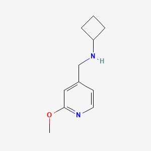 molecular formula C11H16N2O B7871303 N-[(2-methoxypyridin-4-yl)methyl]cyclobutanamine 