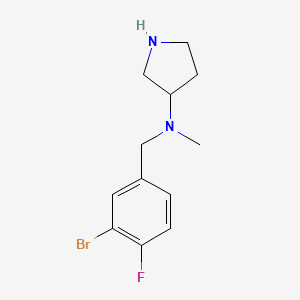 molecular formula C12H16BrFN2 B7873745 N-(3-Bromo-4-fluorobenzyl)-N-methylpyrrolidin-3-amine 