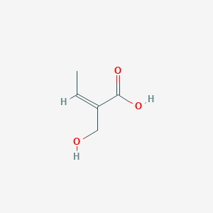 molecular formula C5H8O3 B078750 (Z)-2-(hydroxymethyl)but-2-enoic acid CAS No. 11042-14-1