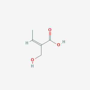 molecular formula C5H8O3 B078750 (Z)-2-Hydroxymethyl-2-butenoic acid CAS No. 11042-14-1