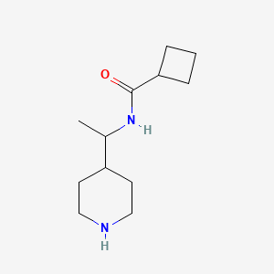 molecular formula C12H22N2O B7877902 N-[1-(piperidin-4-yl)ethyl]cyclobutanecarboxamide 