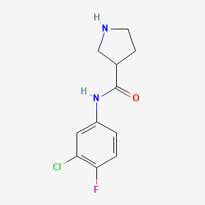 molecular formula C11H12ClFN2O B7879202 N-(3-chloro-4-fluorophenyl)pyrrolidine-3-carboxamide 