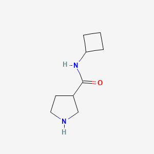 molecular formula C9H16N2O B7879210 N-cyclobutylpyrrolidine-3-carboxamide 