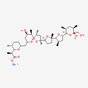molecular formula C40H67NaO11 B7880884 Nigericin sodium salt 