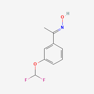 molecular formula C9H9F2NO2 B7882725 (1E)-1-[3-(difluoromethoxy)phenyl]ethanone oxime 