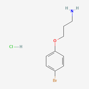 molecular formula C9H13BrClNO B7889682 3-(4-Bromophenoxy)propan-1-amine, HCl 