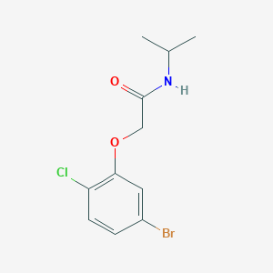 2-(5-Bromo-2-chlorophenoxy)-N-isopropylacetamide