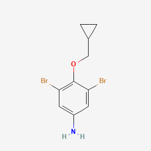molecular formula C10H11Br2NO B7892183 3,5-Dibromo-4-(cyclopropylmethoxy)aniline 