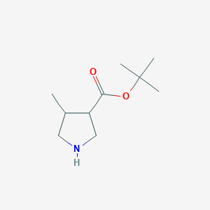 molecular formula C10H19NO2 B7892861 Tert-butyl 4-methylpyrrolidine-3-carboxylate 