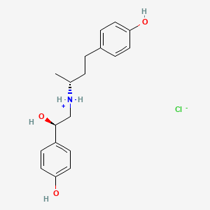 [(2R)-2-hydroxy-2-(4-hydroxyphenyl)ethyl]-[(2R)-4-(4-hydroxyphenyl)butan-2-yl]azanium;chloride