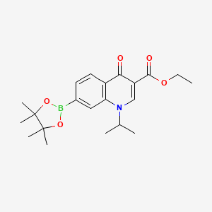 molecular formula C21H28BNO5 B7911519 Ethyl 1-isopropyl-4-oxo-7-(4,4,5,5-tetramethyl-1,3,2-dioxaborolan-2-yl)-1,4-dihydro-3-quinolinecarboxylate 
