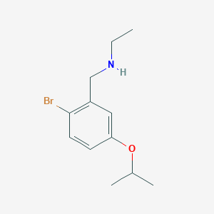 molecular formula C12H18BrNO B7936276 {[2-Bromo-5-(propan-2-yloxy)phenyl]methyl}(ethyl)amine 