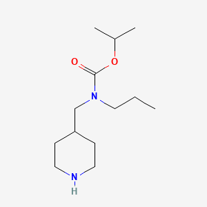 molecular formula C13H26N2O2 B7938580 Propan-2-yl N-[(piperidin-4-yl)methyl]-N-propylcarbamate 