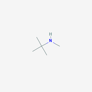 molecular formula C5H13N B079412 N-Methyl-tert-butylamine CAS No. 14610-37-8
