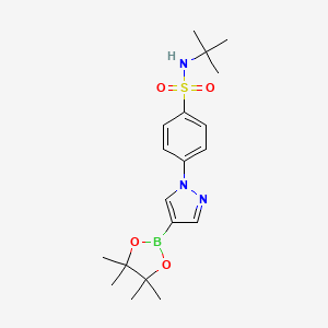 molecular formula C19H28BN3O4S B7956864 N-tert-Butyl-4-[4-(tetramethyl-1,3,2-dioxaborolan-2-yl)pyrazol-1-yl]benzenesulfonamide 