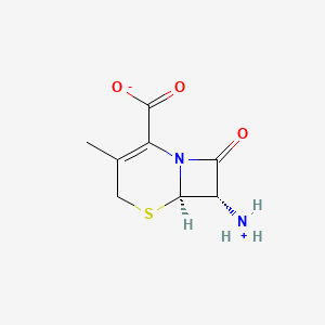 molecular formula C8H10N2O3S B7957142 7-ADCA 