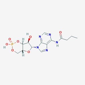molecular formula C14H18N5O7P B079592 6-MB-cAMP CAS No. 13117-60-7