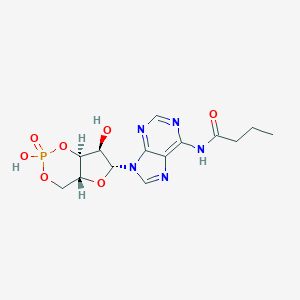 molecular formula C14H18N5O7P B079592 Monobutyryl cyclic AMP CAS No. 13117-60-7