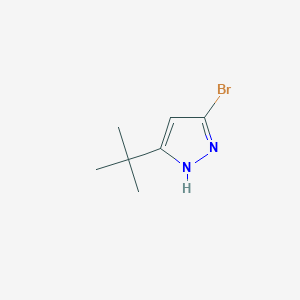 molecular formula C7H11BrN2 B7963622 5-Bromo-3-tert-butyl-1h-pyrazole 