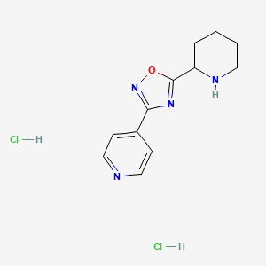 molecular formula C12H16Cl2N4O B7971212 4-(5-Piperidin-2-yl-1,2,4-oxadiazol-3-yl)pyridine dihydrochloride 