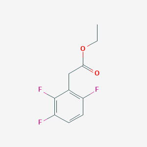 molecular formula C10H9F3O2 B7993350 Ethyl 2-(2,3,6-trifluorophenyl)acetate CAS No. 114152-22-6