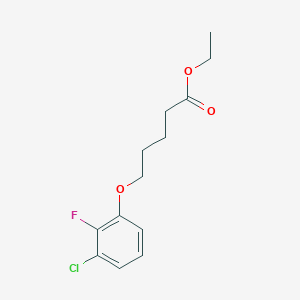 molecular formula C13H16ClFO3 B8001054 Ethyl 5-(3-chloro-2-fluoro-phenoxy)pentanoate 