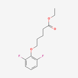 molecular formula C13H16F2O3 B8001576 Ethyl 5-(2,6-difluoro-phenoxy)pentanoate 
