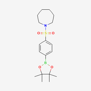 4-(Homopiperidin-1-ylsulfonyl)phenylboronic acid pinacol ester