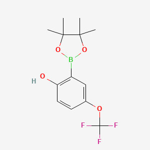 molecular formula C13H16BF3O4 B8005363 2-(4,4,5,5-Tetramethyl-1,3,2-dioxaborolan-2-yl)-4-(trifluoromethoxy)phenol 