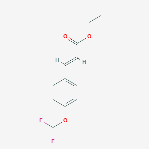 molecular formula C12H12F2O3 B8005447 Ethyl (E)-3-(4-(difluoromethoxy)phenyl)acrylate 