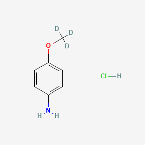 molecular formula C7H10ClNO B8006204 4-(Methoxy-d3)aniline hydrochloride 