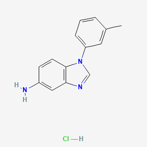 molecular formula C14H14ClN3 B8006855 1-(3-methylphenyl)-1{H}-benzimidazol-5-amine 