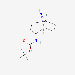 molecular formula C12H22N2O2 B8008364 endo-2-(Boc-amino)-8-azabicyclo[3.2.1]octane 