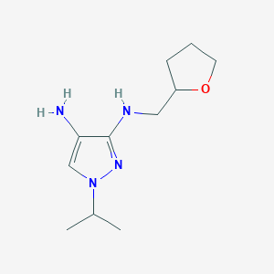 molecular formula C11H20N4O B8021340 N3-[(oxolan-2-yl)methyl]-1-(propan-2-yl)-1H-pyrazole-3,4-diamine 