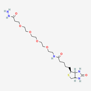 molecular formula C21H39N5O7S B8022244 Biotin-PEG4-Hydrazide 