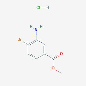 molecular formula C8H9BrClNO2 B8027192 Methyl 3-amino-4-bromobenzoate hydrochloride 