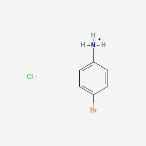 molecular formula C6H7BrClN B8028853 4-Bromoanilinium chloride 