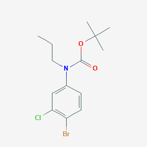 molecular formula C14H19BrClNO2 B8029182 Tert-butyl N-(4-bromo-3-chlorophenyl)-N-propylcarbamate 