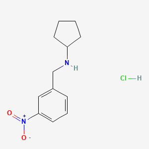 molecular formula C12H17ClN2O2 B8030772 N-[(3-Nitrophenyl)methyl]cyclopentanamine hydrochloride 