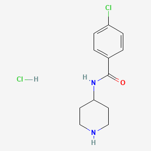 molecular formula C12H16Cl2N2O B8035186 4-Chloro-N-(piperidin-4-yl)benzamide hydrochloride 