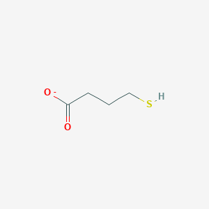 molecular formula C4H7O2S- B080401 4-Mercaptobutyrate CAS No. 13095-66-4