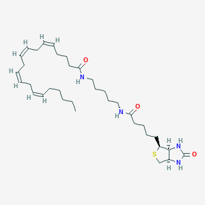 molecular formula C35H58N4O3S B8049932 Arachidonic acid-biotin 
