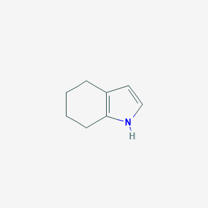 molecular formula C8H11N B080551 4,5,6,7-Tetrahydro-1H-indole CAS No. 13618-91-2