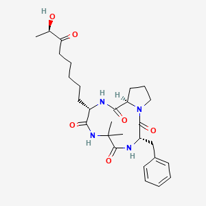 molecular formula C28H40N4O6 B8055510 Dihydrochlamydocin analog-1 CAS No. 52574-64-8